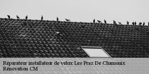 Réparateur installateur de velux  les-praz-de-chamonix-74400 Rénovation CM