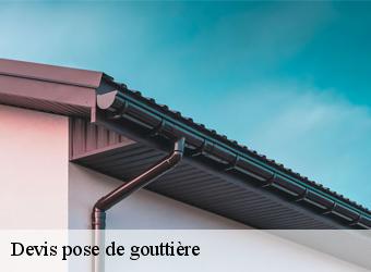 Devis pose de gouttière