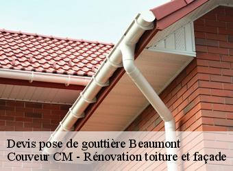 Devis pose de gouttière beaumont-74160 Couveur CM - Rénovation toiture et façade