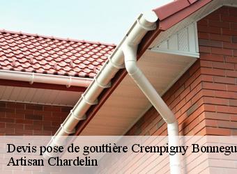 Devis pose de gouttière  crempigny-bonneguete-74150 Artisan Chardelin