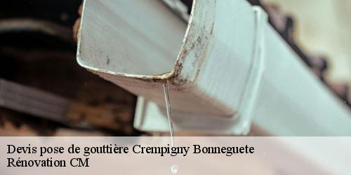 Devis pose de gouttière crempigny-bonneguete-74150 Rénovation CM
