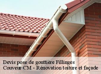 Devis pose de gouttière fillinges-74250 Couveur CM - Rénovation toiture et façade