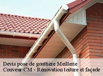 Devis pose de gouttière meillerie-74500 Couveur CM - Rénovation toiture et façade