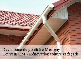 Devis pose de gouttière  mesigny-74330 Couveur CM - Rénovation toiture et façade