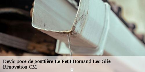 Devis pose de gouttière le-petit-bornand-les-glie-74130 Rénovation CM