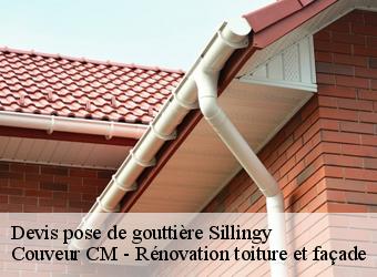 Devis pose de gouttière sillingy-74330 Couveur CM - Rénovation toiture et façade