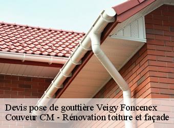 Devis pose de gouttière veigy-foncenex-74140 Couveur CM - Rénovation toiture et façade
