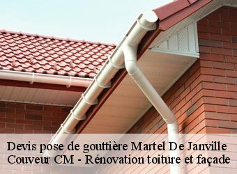 Devis pose de gouttière martel-de-janville-74480 Couveur CM - Rénovation toiture et façade