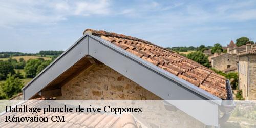 Habillage planche de rive copponex-74350 Rénovation CM