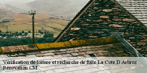 Vérification de toiture et recherche de fuite  la-cote-d-arbroz-74110 Rénovation CM