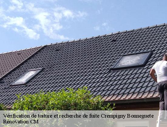 Vérification de toiture et recherche de fuite crempigny-bonneguete-74150 Rénovation CM