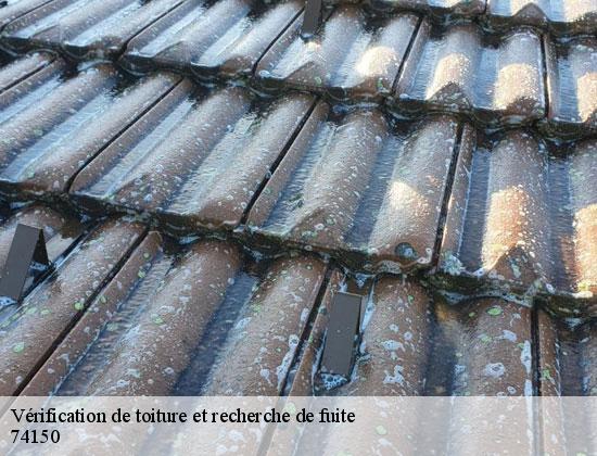 Vérification de toiture et recherche de fuite crempigny-bonneguete-74150 Rénovation CM
