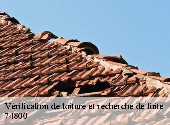 Vérification de toiture et recherche de fuite 74800