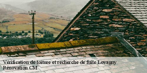 Vérification de toiture et recherche de fuite lovagny-74330 Rénovation CM