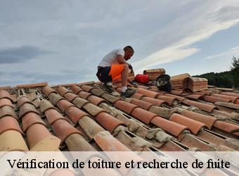 Vérification de toiture et recherche de fuite