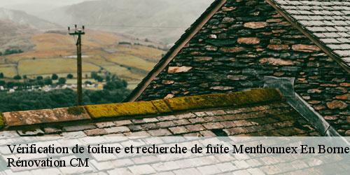 Vérification de toiture et recherche de fuite menthonnex-en-bornes-74350 Rénovation CM