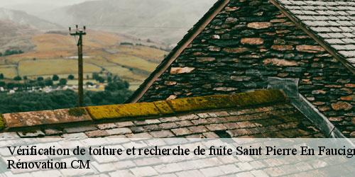 Vérification de toiture et recherche de fuite  saint-pierre-en-faucigny-74800 Rénovation CM