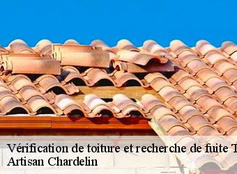 Vérification de toiture et recherche de fuite  thonon-les-bains-74200 Artisan Chardelin