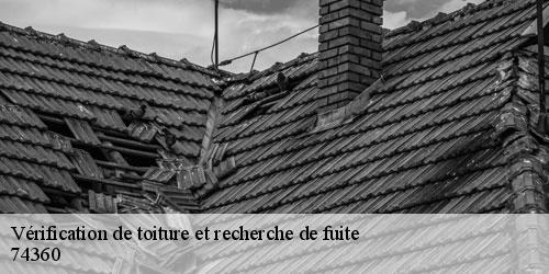 Vérification de toiture et recherche de fuite vacheresse-74360 Rénovation CM