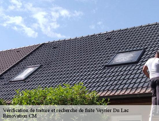 Vérification de toiture et recherche de fuite  veyrier-du-lac-74290 Rénovation CM
