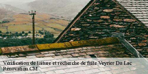 Vérification de toiture et recherche de fuite  veyrier-du-lac-74290 Rénovation CM