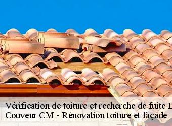 Vérification de toiture et recherche de fuite  les-villards-sur-thones-74230 Couveur CM - Rénovation toiture et façade