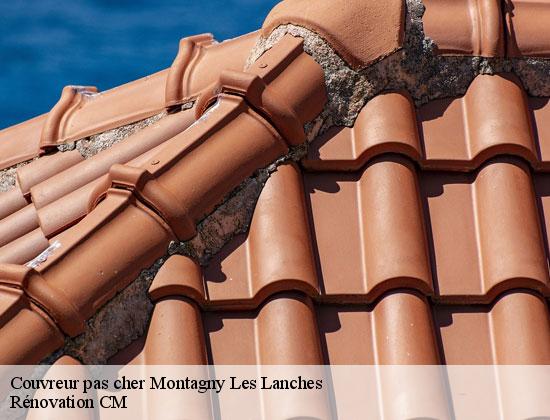 Couvreur pas cher montagny-les-lanches-74600 Rénovation CM