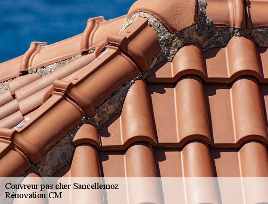 Couvreur pas cher  sancellemoz-74480 Rénovation CM