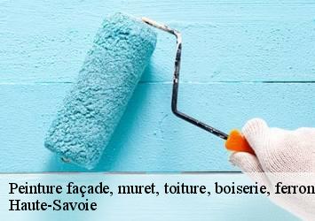 Peinture façade, muret, toiture, boiserie, ferronerie, gouttière Haute-Savoie