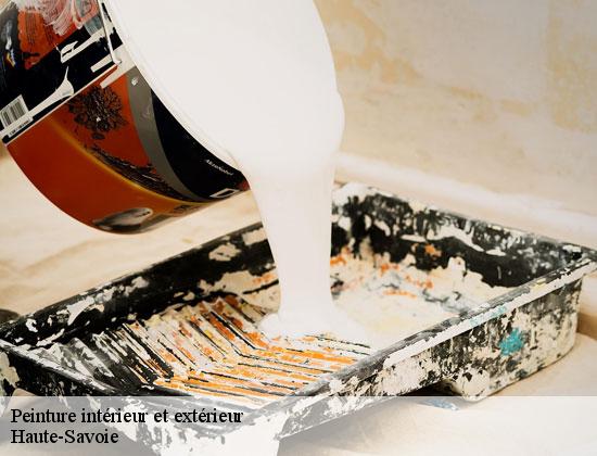 Peinture intérieur et extérieur 74 Haute-Savoie Rénovation CM