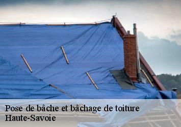 Pose de bâche et bâchage de toiture Haute-Savoie 