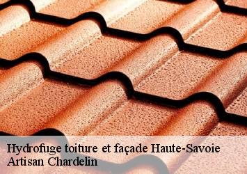 Hydrofuge toiture et façade 74 Haute-Savoie  Artisan Chardelin