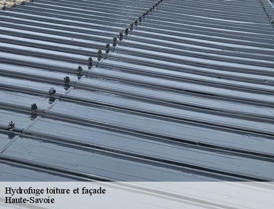 Hydrofuge toiture et façade 74 Haute-Savoie Rénovation CM