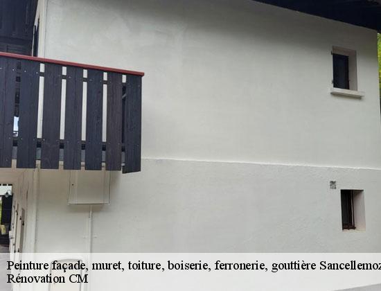 Peinture façade, muret, toiture, boiserie, ferronerie, gouttière  sancellemoz-74480 Rénovation CM