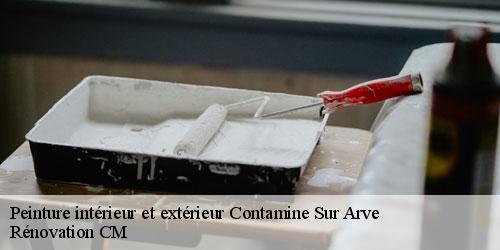 Peinture intérieur et extérieur contamine-sur-arve-74130 Rénovation CM