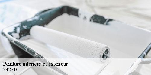 Peinture intérieur et extérieur peillonnex-74250 Rénovation CM