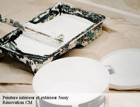 Peinture intérieur et extérieur jussy-74350 Rénovation CM