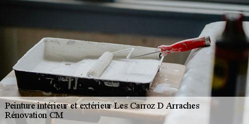 Peinture intérieur et extérieur  les-carroz-d-arraches-74300 Rénovation CM