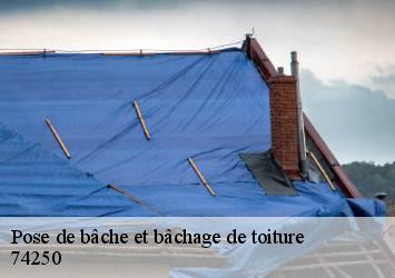 Pose de bâche et bâchage de toiture 74250