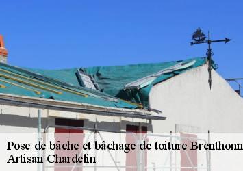 Pose de bâche et bâchage de toiture  brenthonne-74890 Artisan Chardelin