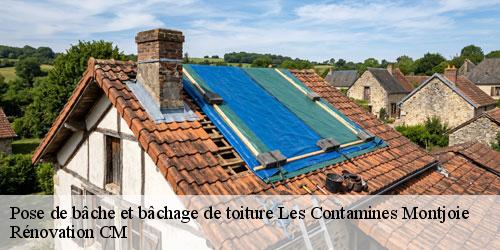 Pose de bâche et bâchage de toiture les-contamines-montjoie-74170 Rénovation CM