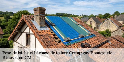 Pose de bâche et bâchage de toiture crempigny-bonneguete-74150 Rénovation CM