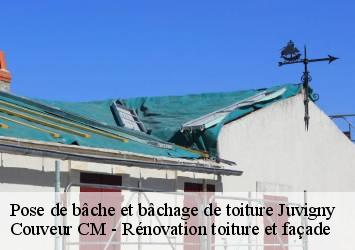 Pose de bâche et bâchage de toiture  juvigny-74100 Couveur CM - Rénovation toiture et façade