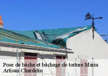 Pose de bâche et bâchage de toiture  marin-74200 Artisan Chardelin