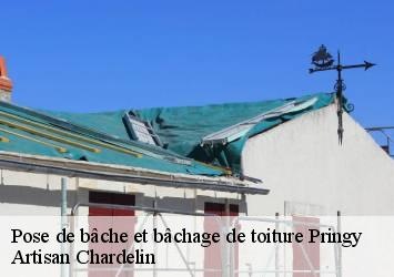 Pose de bâche et bâchage de toiture pringy-74370 Artisan Chardelin