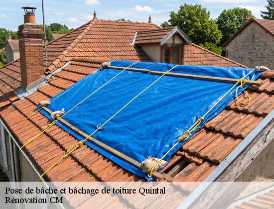 Pose de bâche et bâchage de toiture quintal-74600 Rénovation CM