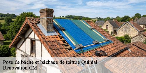 Pose de bâche et bâchage de toiture quintal-74600 Rénovation CM