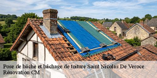 Pose de bâche et bâchage de toiture saint-nicolas-de-veroce-74190 Rénovation CM