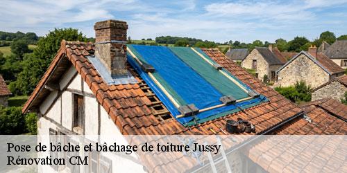 Pose de bâche et bâchage de toiture jussy-74350 Rénovation CM