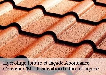 Hydrofuge toiture et façade  abondance-74360 Couveur CM - Rénovation toiture et façade